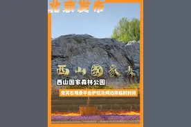 西山国家森林公园：鬼笑石观景平台护栏及周边将临时封闭#北京城市服务台