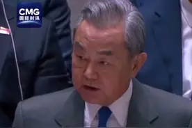 #王毅阐述中方对完善全球治理的看法视频封面