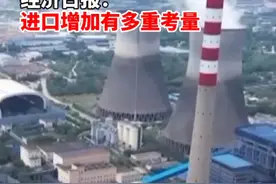 煤炭大国进口为何创新高？经济日报：进口增加有多重考量 #煤炭 #能源视频封面