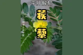 蒺藜 #蒺藜 #蒺藜草 #中草药 #胡博士说中医