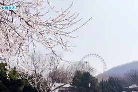 最美不过四月天！大连已进入气象意义上的春天！#大连视频封面
