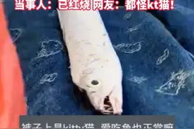 女生去买菜，结果#带鱼咬着裤子跟人回家了  （来源：卡布叻_卿）视频封面