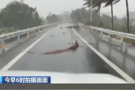 台风“蝴蝶”十级风圈范围已覆盖乐东 总台记者现场直击