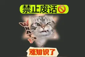 禁止废话：鹦鹉为什么会模仿人说话？涨知识了#知识 #知识分享