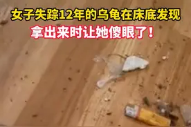 女子失踪12年的乌龟在床底发现，拿出来时让她傻眼了！视频封面