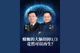 蝾螈的大脑切掉三分之一可以再生，有望找到神经系统再生机制。 #尹烨科普 #大脑 #脑科学 #神经系统 #大咖观察视频封面