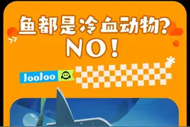 鱼都是冷血动物？NO！#翻车鱼#海洋生物#科普#冷知识#轻漫计划