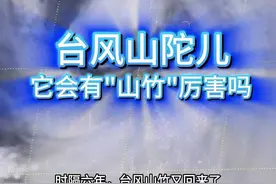 台风山竹转世回归，“山陀儿”会很厉害吗？ 时隔六年，台风山竹又回来了。不过这次改了个很奇怪的名字，叫山陀儿，这是啥玩意儿？有当年山竹厉害吗？#台风山竹 #台风山陀儿 #台风飞燕 #台风 #台湾台风 