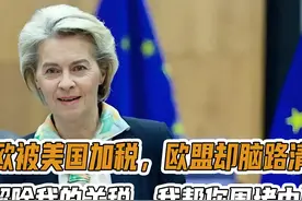 中欧被美国加税，欧盟却脑路清奇：解除我的关税，我帮你围堵中国视频封面