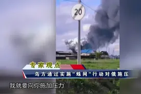 俄乌已直接谈判两轮，乌“蛛网”突袭施压，俄强化地面攻势#东南军情  #俄乌冲突  #蛛网行动  #房兵视频封面