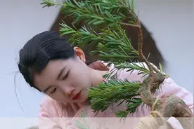 挑战把普通的S弯罗汉松，暴改成悬崖式造型，最后的效果连我也没想到!#盆景 #罗汉松 #盆景制作