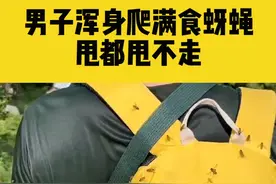 6月14日江西萍乡，男子爬武功山浑身爬满食蚜蝇，甩都甩不走视频封面