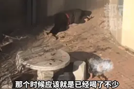 他们大早上就开始喝酒，喝醉了从中午躺到晚上！#大爷 #喝酒 #生活趣事 来源@叫我顺溜视频封面