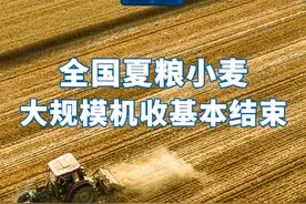 新华社消息｜全国夏粮小麦大规模机收基本结束
