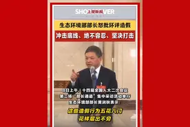 生态环境部部长怒批#环评造假 ：#造假 行为五花八门、花样层出不穷，冲击底线、绝不容忍、坚决打击！#生态环境 #环评 #全国两会