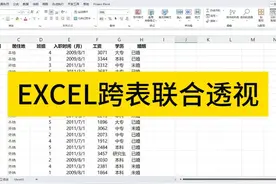 EXCEL跨多表联合透视 #excel #EXCEL #数据透视表 #excel函数视频封面