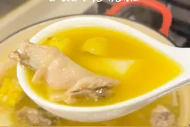 秋宜进补｜金汤栗子煲鸡超鲜甜又滋润，天气干燥记得多喝汤水！ #为你煲汤#鸡汤 #养生