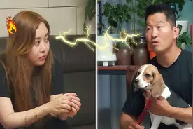 比格犬在家称霸，训犬师却夸它是条好狗，反斥主人不会养别养视频封面