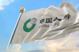 中国人寿保险股份有限公司视频封面