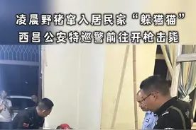 野猪凌晨窜入居民家中"躲猫猫"，西昌公安特巡警前往开枪击毙#现场实拍 #野猪 