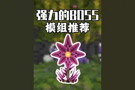 模组推荐：无限回血的虚空之花，超强BOSS让MC更有挑战性！
