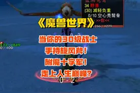【魔兽世界硬核服】当你的30级战士手持旋风斧！附魔十字军！