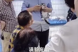 爷爷，我们想你了！#袁隆平爷爷的猫还在等他回家 袁隆平养的小猫“花花”，在袁老去世后，仍会在曾经和爷爷走过的稻田停留，在屋里等爷爷回家视频封面