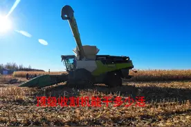 揭秘养两台顶级收割机大哥一年能干多少活，不一样的高效率真厉害
