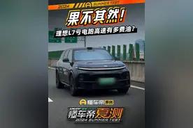 果不其然！#理想L7亏电跑高速有多费油？#2024懂车帝夏测 #懂车帝杨恺视频封面