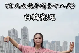 零基础学习的太极拳《陈氏精要十八式太极拳》，跟着口令一起学 #太极 #零基础学太极 #中华武术博大精深 #巡游武林视频封面