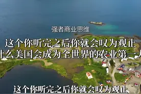 揭秘美国农业如何依靠商业模式创新称霸世界！#商业思维视频封面
