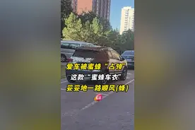 内蒙古一车主停在停车场的爱车爬满蜜蜂。目击者：盘旋后集中在一辆车上。消防员：车内无甜食，该现象应属偶然。