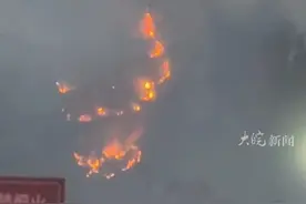 #张家界森林公园发生山火 当地回应：马上就要扑灭了 未造成人员伤亡 #张家界 
大皖新闻讯   3月24日，湖南张家界国家森林公园一处山体发生火情。
3月25日上午，一位当地的商家告诉大皖新闻记者，其所在的位置目前已经看不到山上的明火，但还能看到零星的烟。
25日上午8点多钟，张家界武陵源消防救援大队一位工作人员告诉大皖新闻记者，火势已经得到控制，现场还在进行收尾处置。
随后，对于张家界国家森林公园24日发生山林失火的情况，张家界市应急管理局相关负责人表示，“马上就要扑灭了”，未造成人员伤亡。
大皖新闻记者 曹庆视频封面