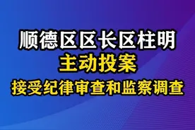 7月12日，据“廉洁佛山”消息：佛山市顺德区委副书记、区长区柱明涉嫌严重违纪违法，主动投案，目前正接受佛山市纪委监委纪律审查和监察调查。#观海视频视频封面