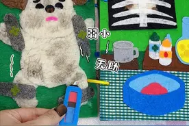 你敢信这是毛毡？重病流浪狗救治过程！ #玩个很新的东西  #手工diy #安静书 #儿童动画片 #流浪狗救助视频封面