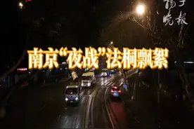 南京“夜战”法桐飘絮！视频封面