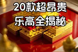20款超昂贵的乐高全揭秘 部分套装价格会因为停产或稀缺性有所溢价。所以，你认为他们价值如何呢？

#乐高 #乐高星球大战 #潮玩 #万物皆可乐高 #动漫编年史视频封面