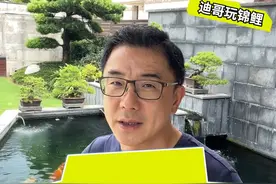 #锦鲤  鱼跳池了究竟是否和自然灾害预警有关？#地震  #水族 #地震局回应滇池鱼跃现象视频封面