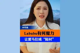 labubu有何魔力 #抖音热评 #labubu #玩偶 #小月说视频封面