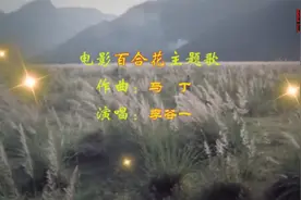电影《百合花》是1981年上映的中国战争电影视频封面