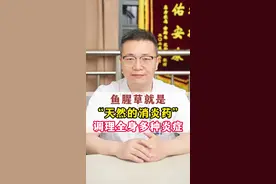 鱼腥草煮水喝，调理全身多种炎症！#鱼腥草 #中医 #消炎 #医学科普 