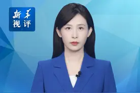 新华视评｜民营经济发展前景广阔大有可为视频封面