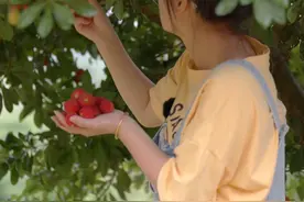 到了吃杨梅的季节，怎么少得了这么新奇又美味的吃法呢~大家都来学一下吧很简单的步骤#乡村守护人#跟着抖音学做菜 #2022新农人计划 @抖音短视频  视频封面