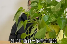 亲历者揭秘“柬埔寨”园区诈骗黑幕！#宿警正能量视频封面