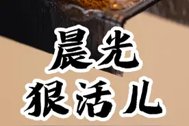 晨光狠活儿：写了这么多年的字，终于知道笔芯后面的油是什么了#小知识 #一分钟干货教学 #知识科普 #晨光文具 #尾塞油视频封面
