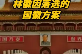 林徽因落选的国徽方案，网友看后感叹：审美确实一绝，但真不合适视频封面