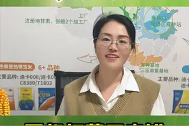 不识字也能分清农药种类？今天教你们一招！ #三农 #高产玉米种子 #种植小技巧 #农业知识 #抖音助农视频封面