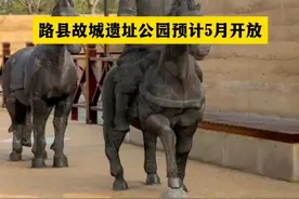 路县故城遗址公园预计5月开放视频封面