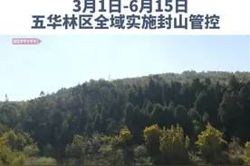 注意！旅游、徒步、露营、放牧等活动都将禁止。3月1日起，五华区林区全域实施封山管控。#森林防火 #森林防火人人有责 #昆明视频封面