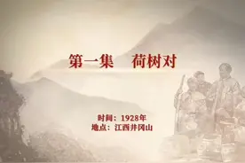 《“党史六对”启示录》第一集《荷树对》@党的文献视频封面